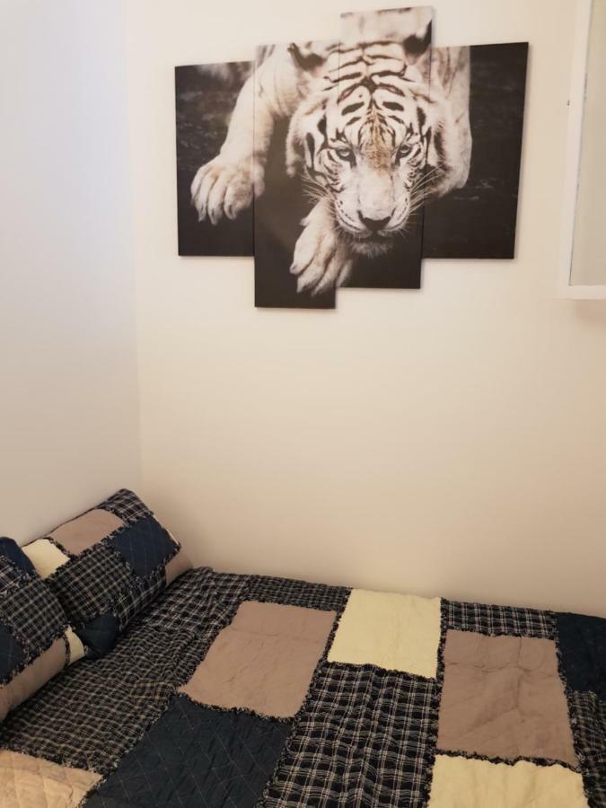 Apartament Appart... Centre Quartier Des Musiciens Nicea Zewnętrze zdjęcie